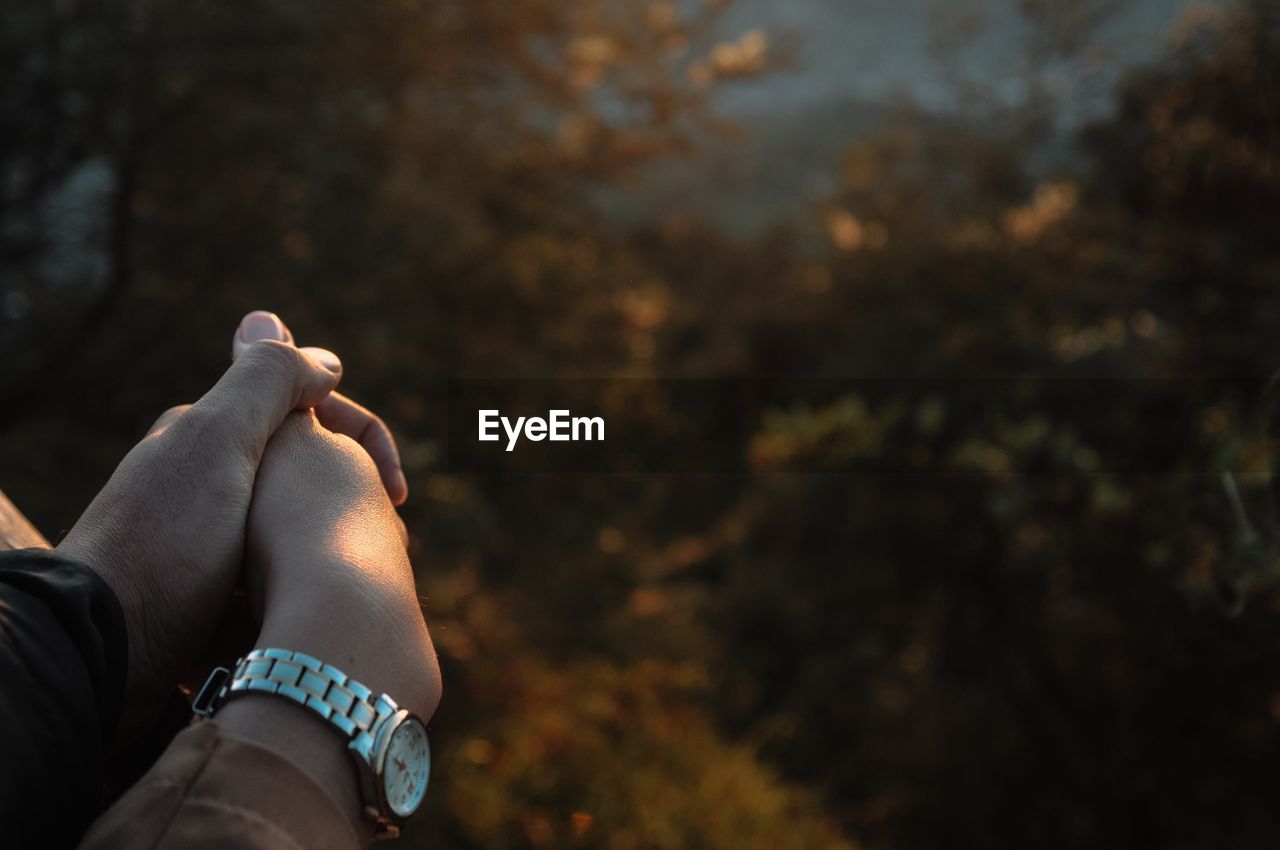 Cropped image of couple holding hands in forest