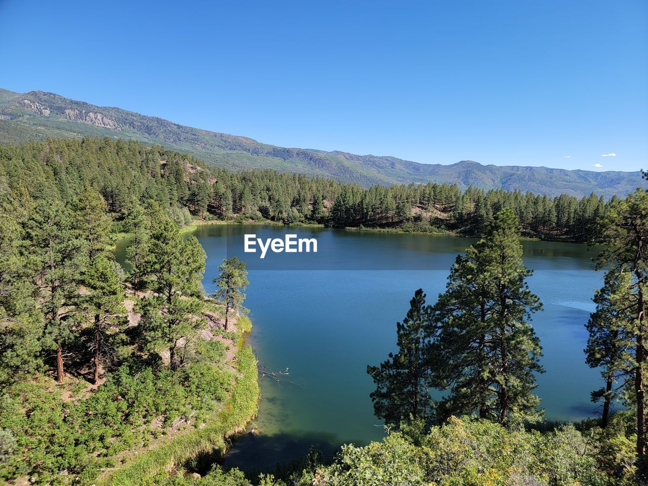 SCENIC VIEW OF LAKE AND TREES AGAINST CLEAR BLUE SKY