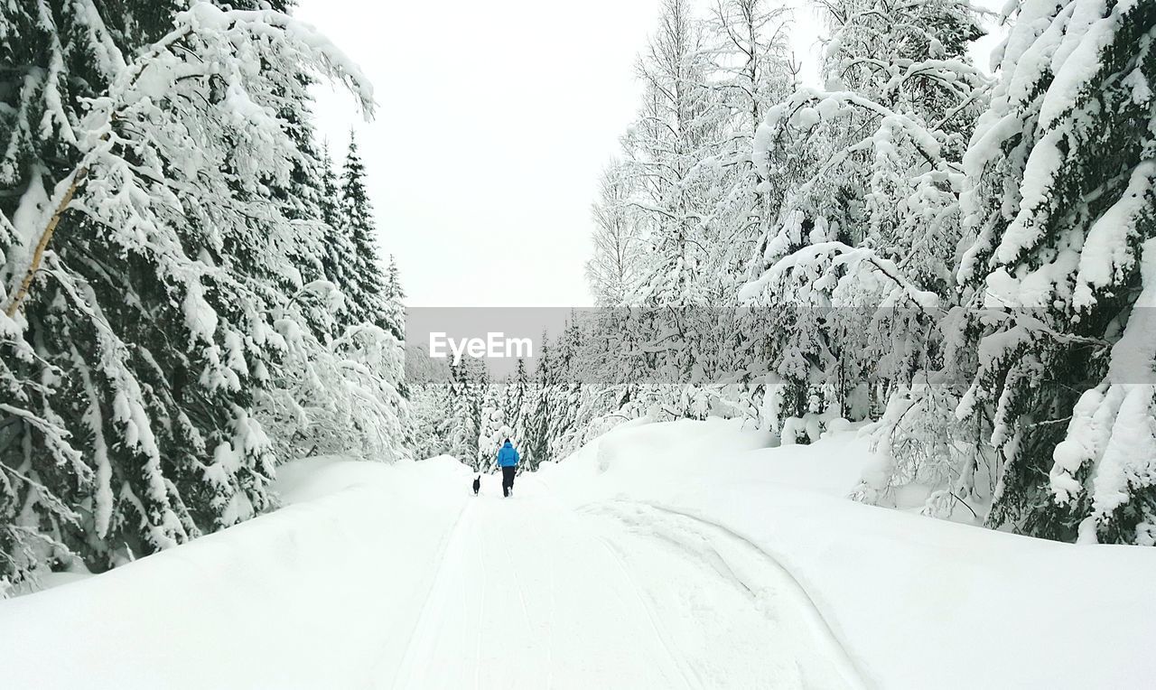 Rear view of man walking on snow covered road amidst trees