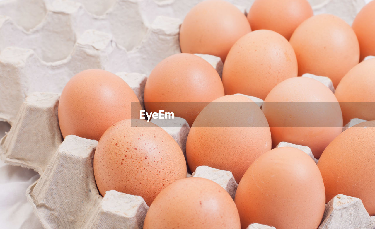 FULL FRAME SHOT OF EGGS AND WHITE BACKGROUND