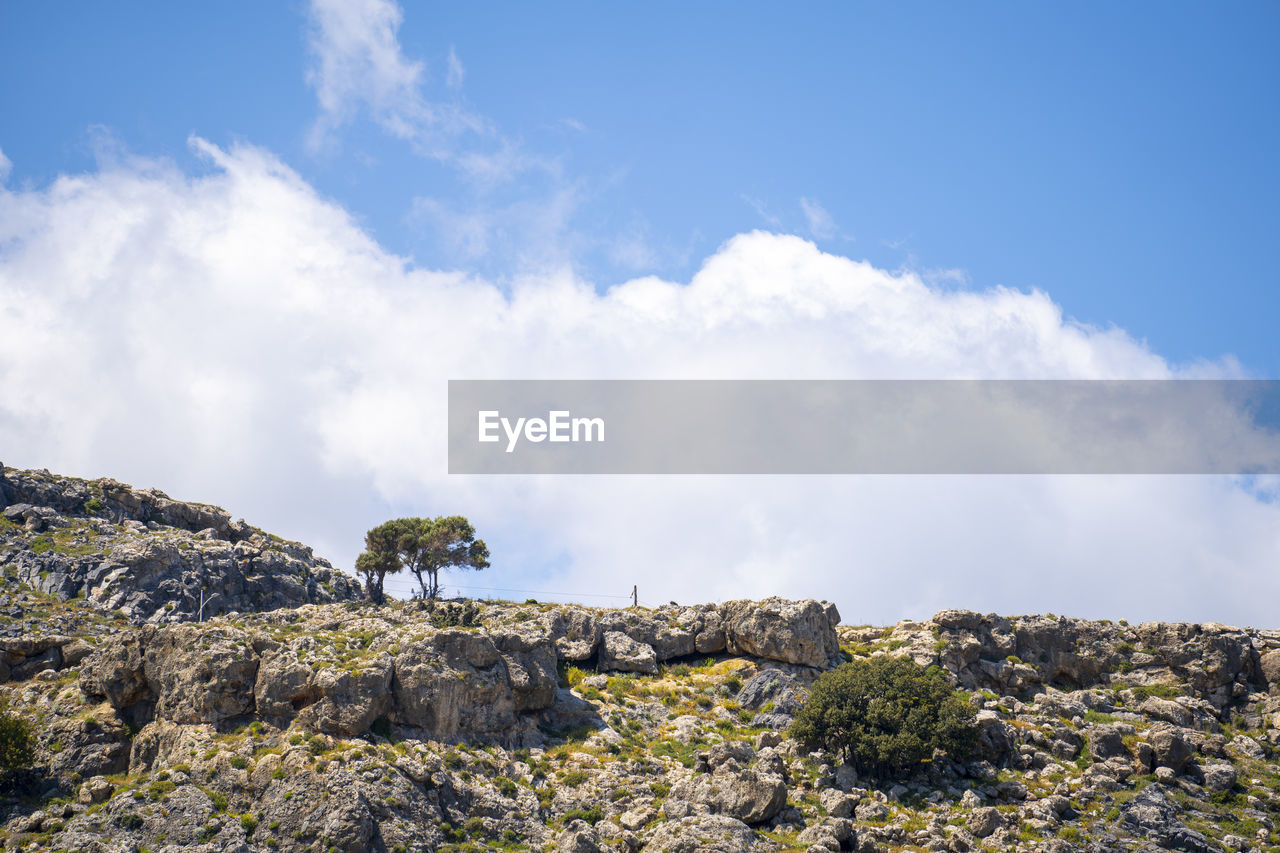 sky, mountain, cloud, nature, rock, wilderness, environment, landscape, tree, animal, animal wildlife, animal themes, scenics - nature, plant, mountain range, beauty in nature, no people, blue, mammal, travel, ridge, travel destinations, land, outdoors, day, plateau, tourism, wildlife, non-urban scene, horizon, rural area, sea, tranquility, domestic animals, cliff, sunlight, one animal
