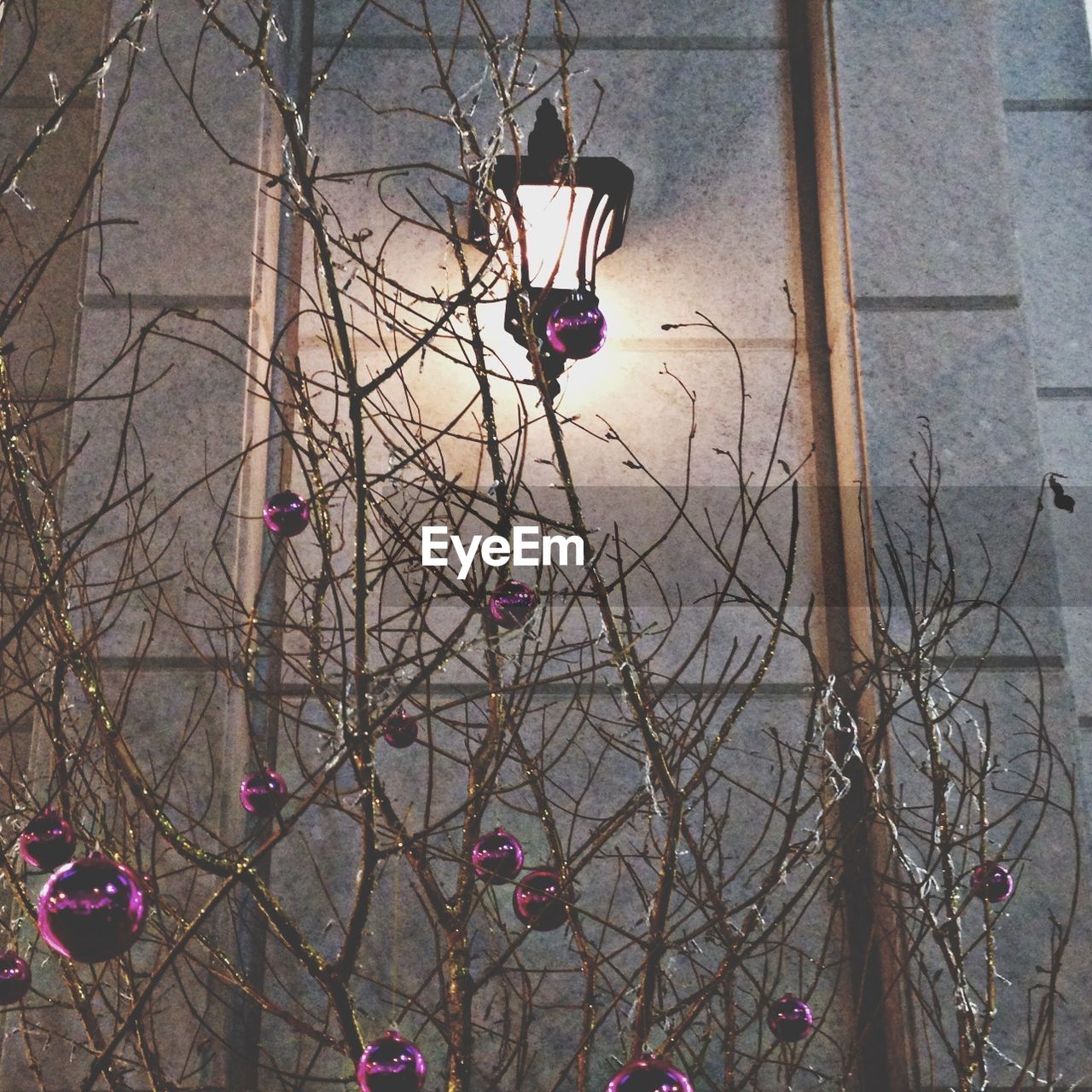 Lit wall lamp and decorated bare branches