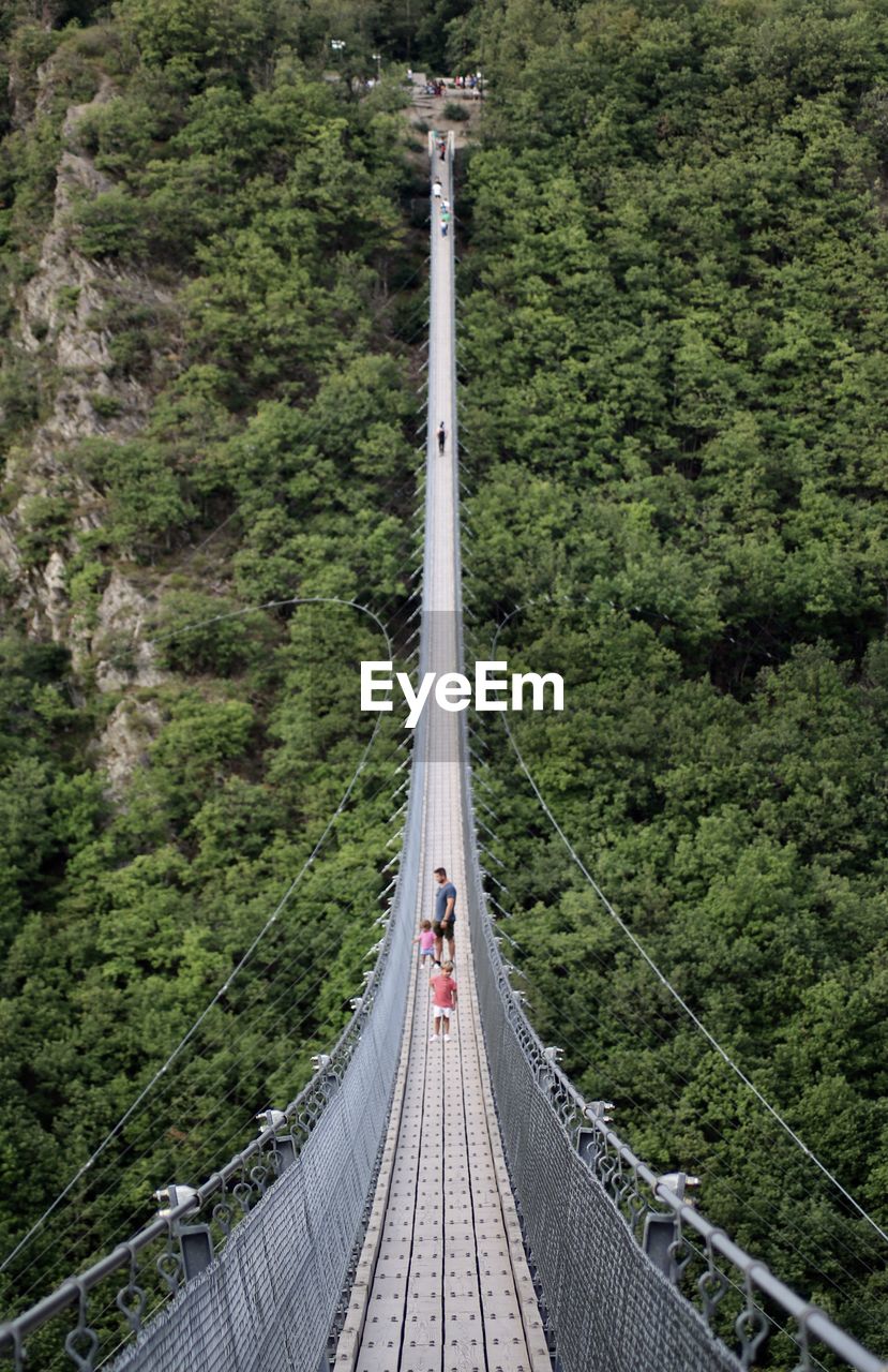 High angle view of footbridge amidst trees in forest