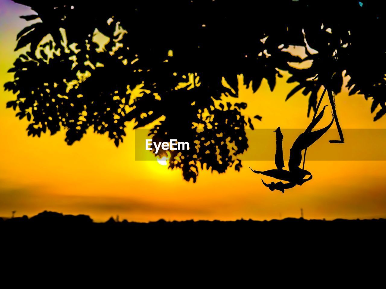 Silhouette of dried leaves on tree against sky during sunset