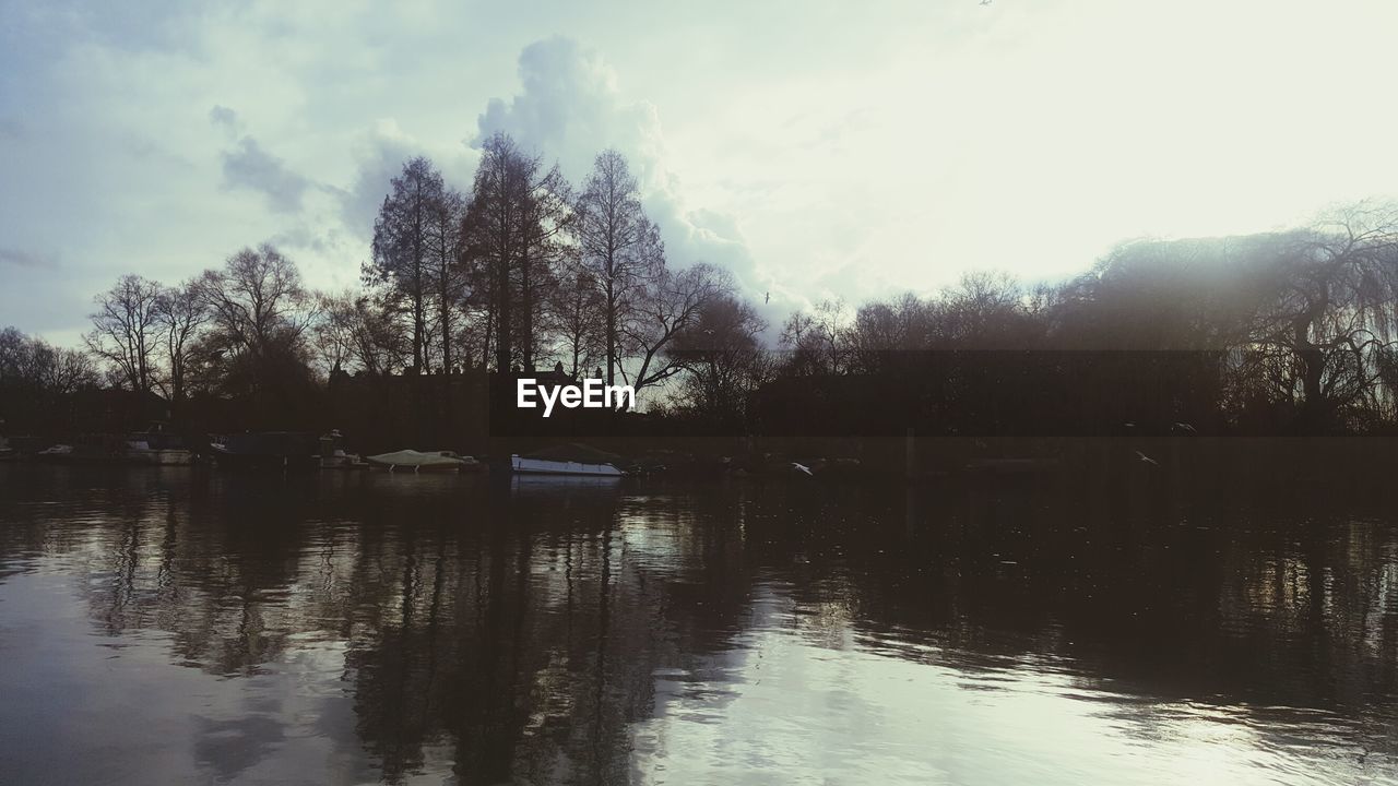 REFLECTION OF TREES IN LAKE AGAINST SKY