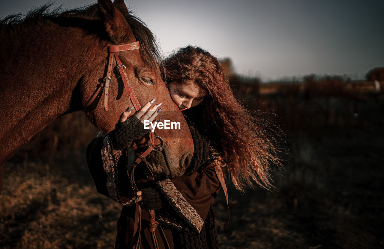 Panoramic view of a horse on field