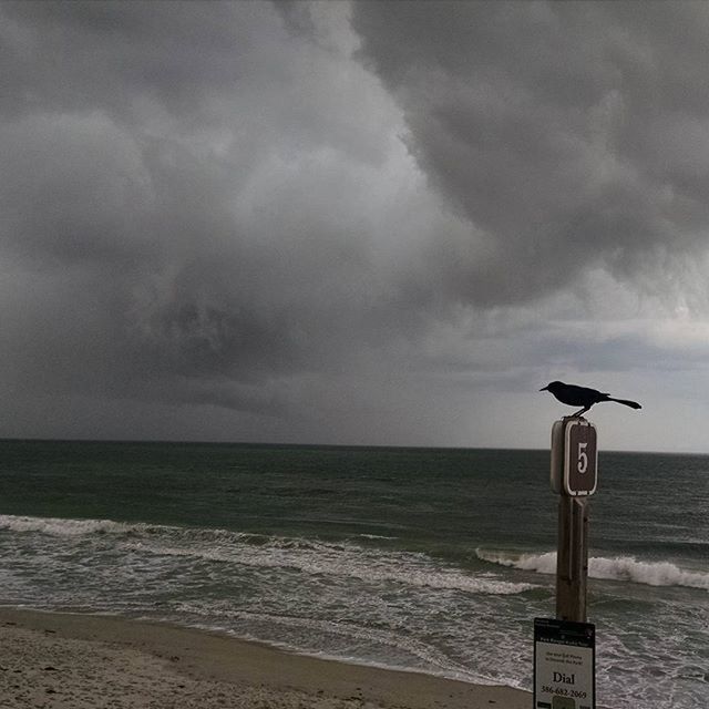 VIEW OF SEA AGAINST CLOUDY SKY