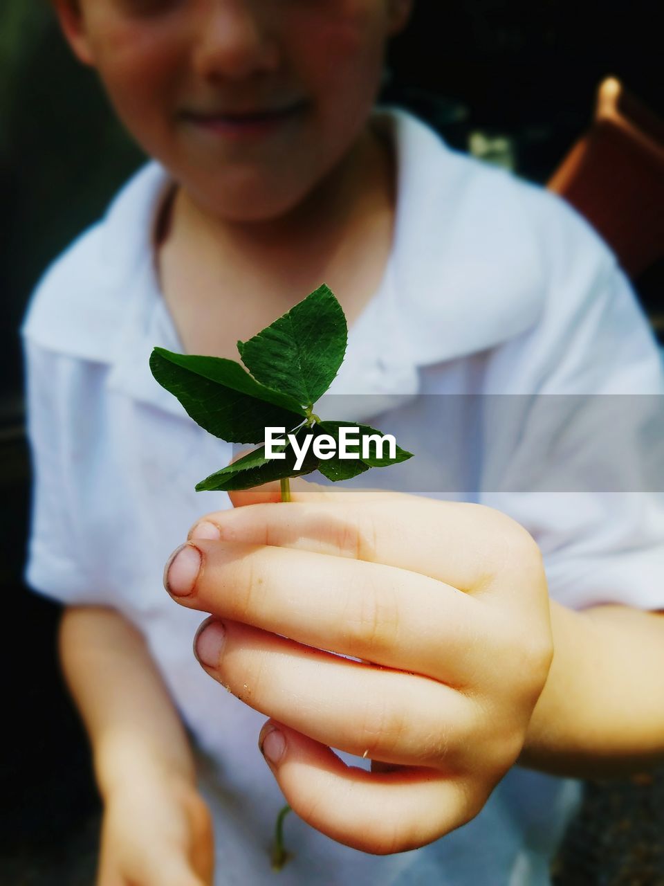 Midsection of boy holding leaves