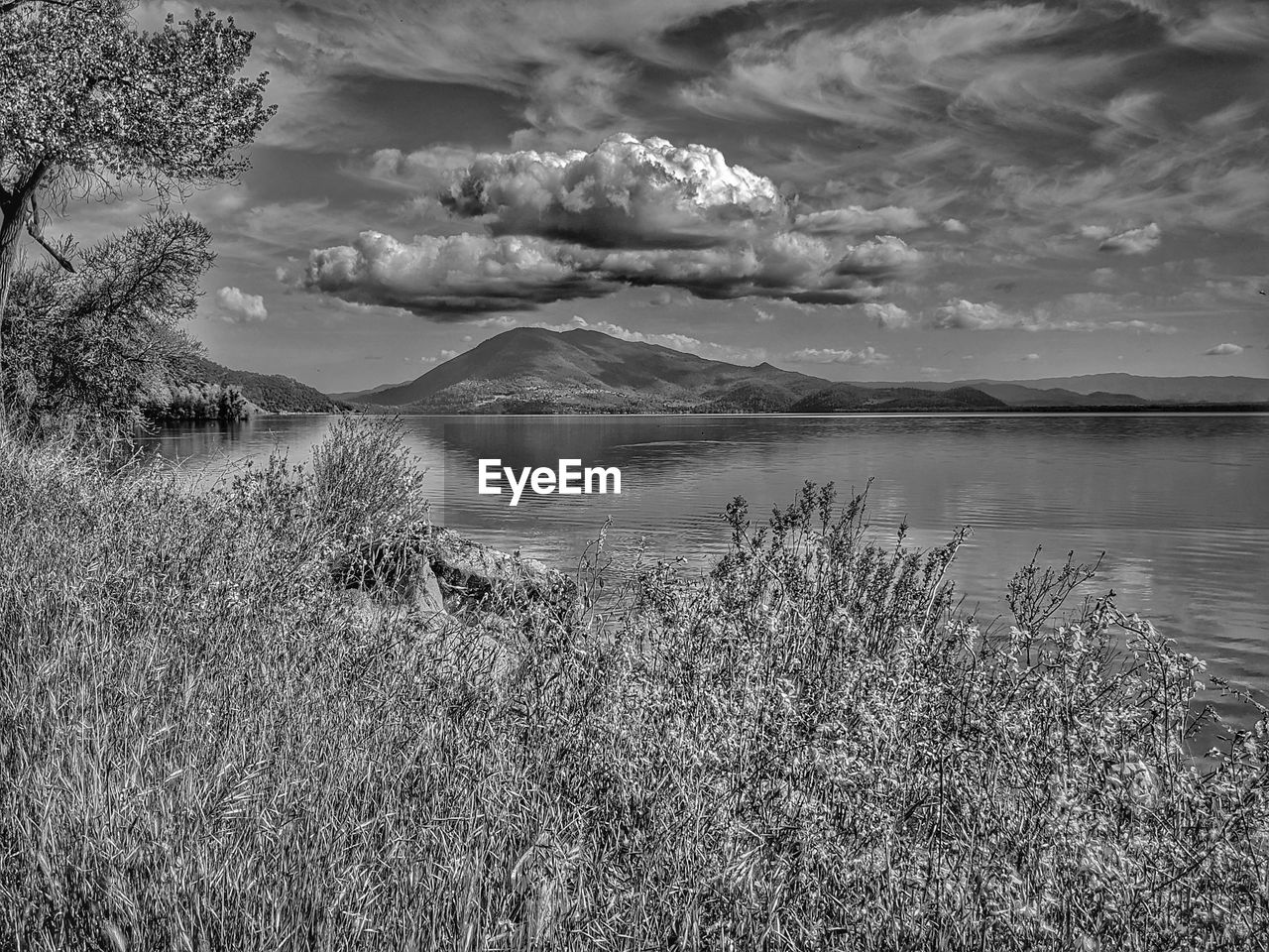 Nature lake and mountain landscape against foreground foliage. monochrome. 