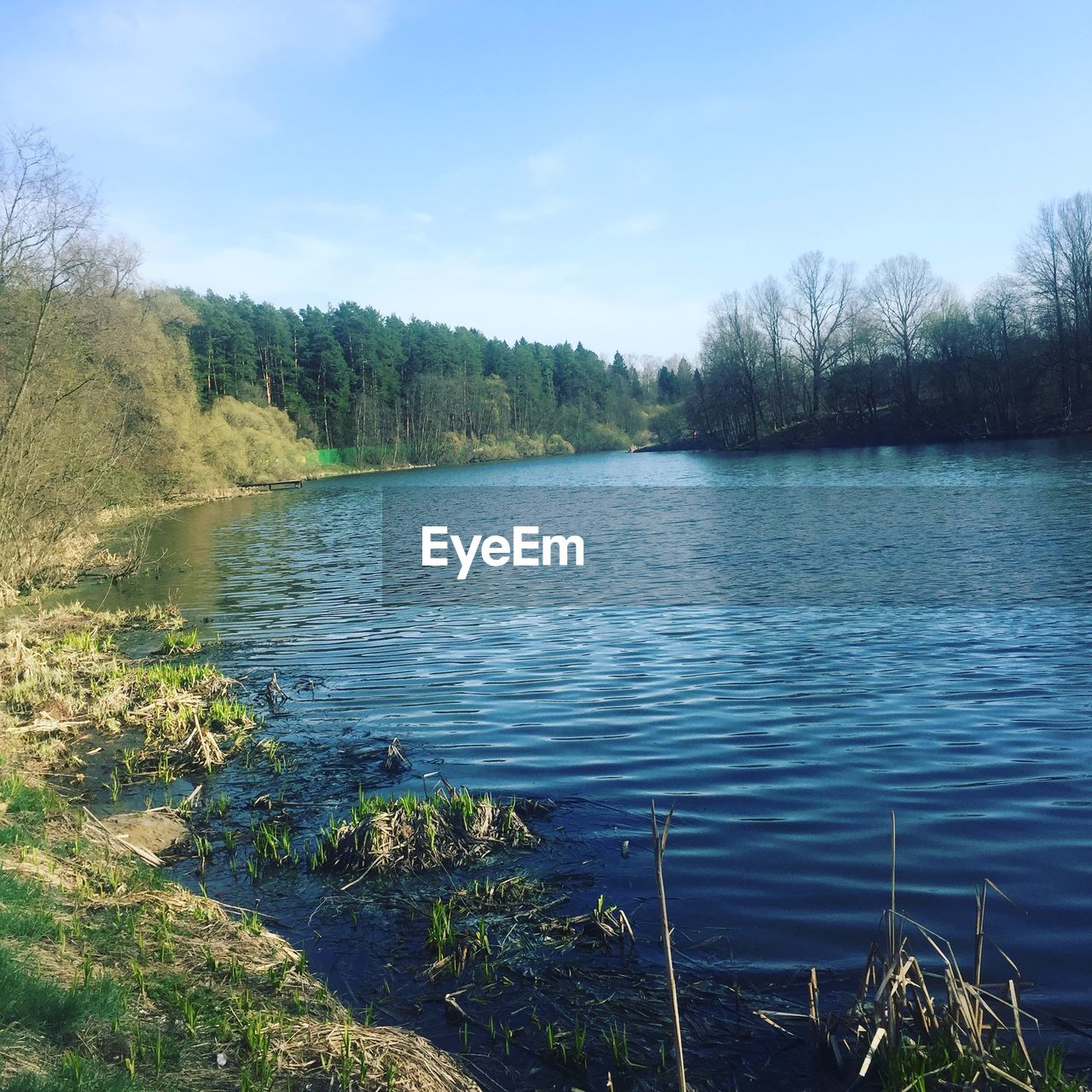 SCENIC VIEW OF LAKE IN FOREST AGAINST BLUE SKY