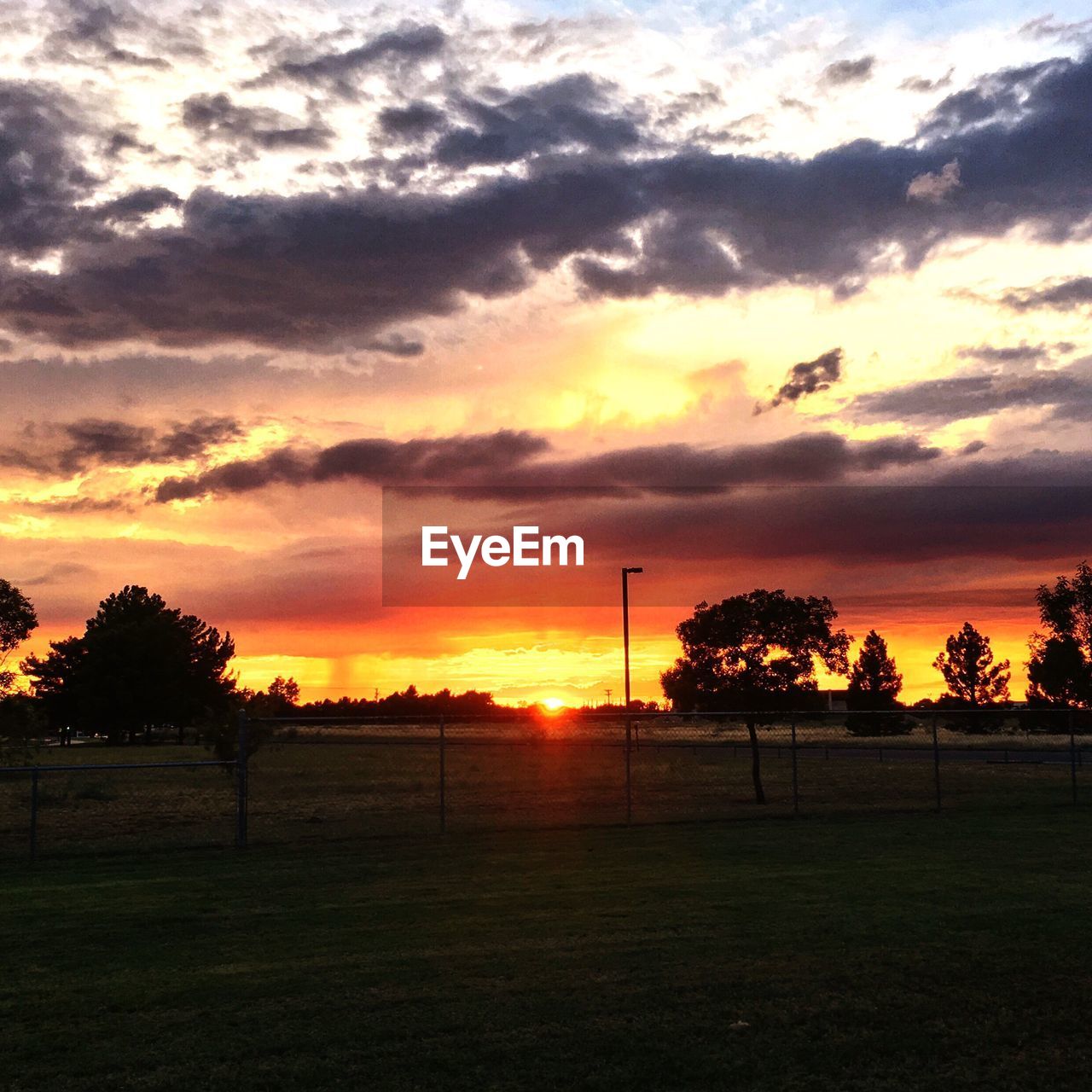 tree, sunset, beauty in nature, nature, scenics, tranquil scene, tranquility, field, no people, sky, grass, cloud - sky, landscape, silhouette, outdoors, soccer field, day