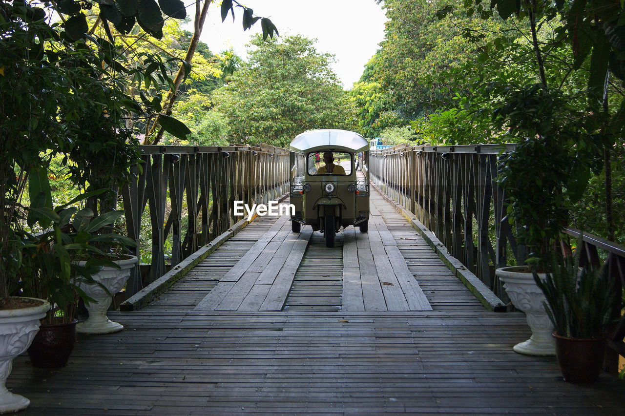 Man driving jinriksha on bridge in forest