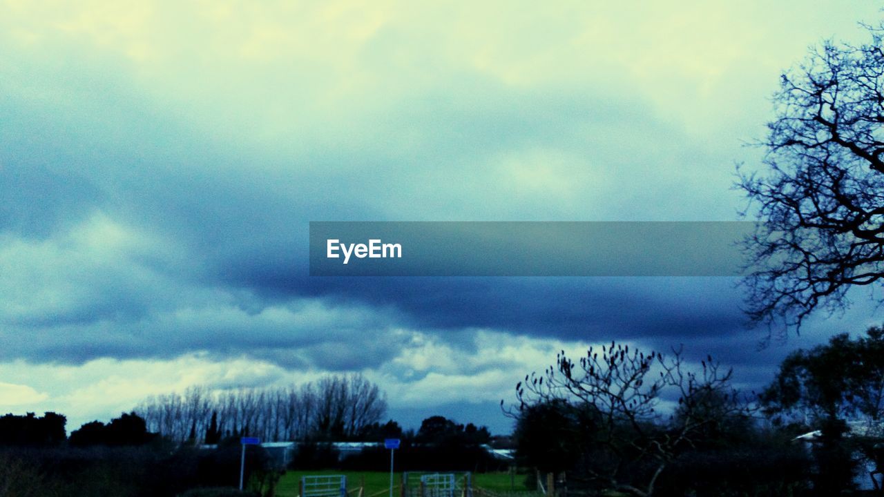 TREES ON FIELD AGAINST CLOUDY SKY