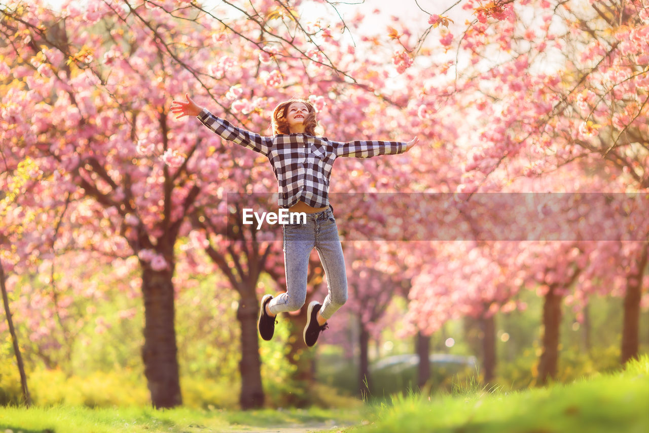 LOW ANGLE VIEW OF PERSON STANDING ON PINK FLOWERING TREE