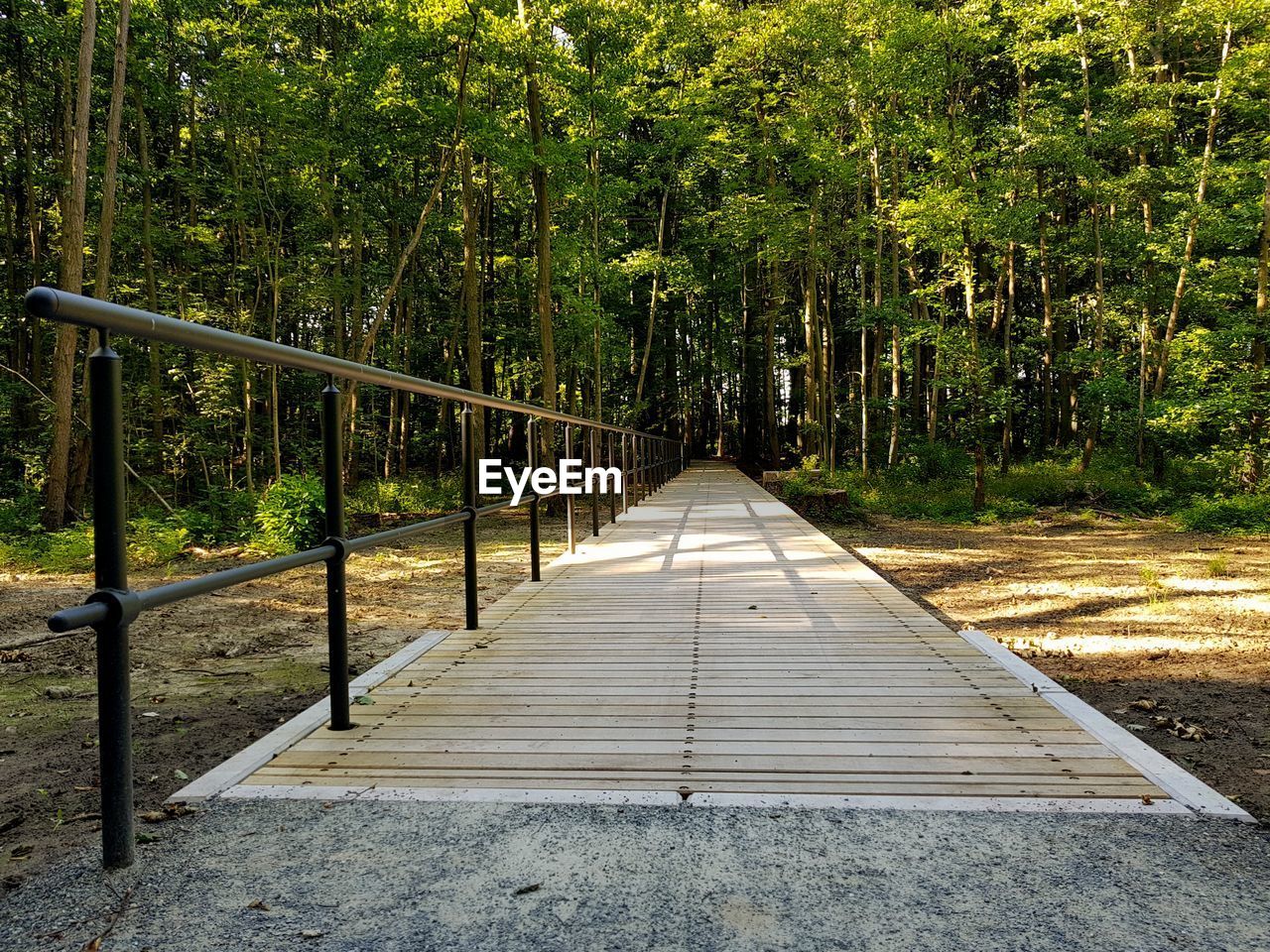 Footbridge amidst trees in forest