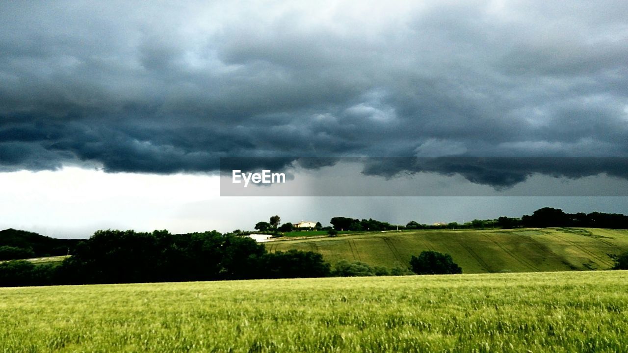 Scenic view of cloudy sky over grassy field