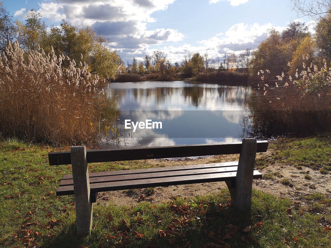 BENCH BY LAKE AGAINST TREES