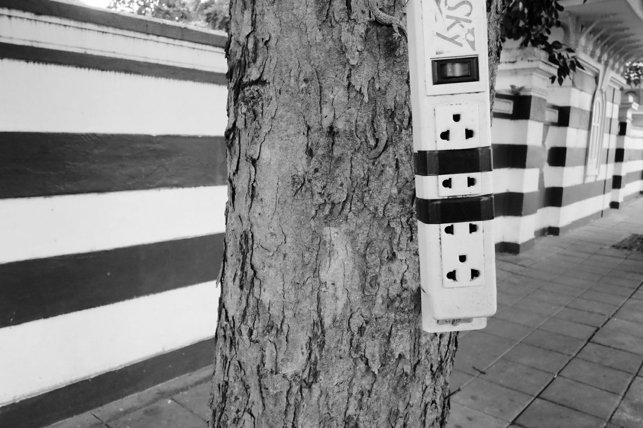 Juxtaposition of power socket and tree