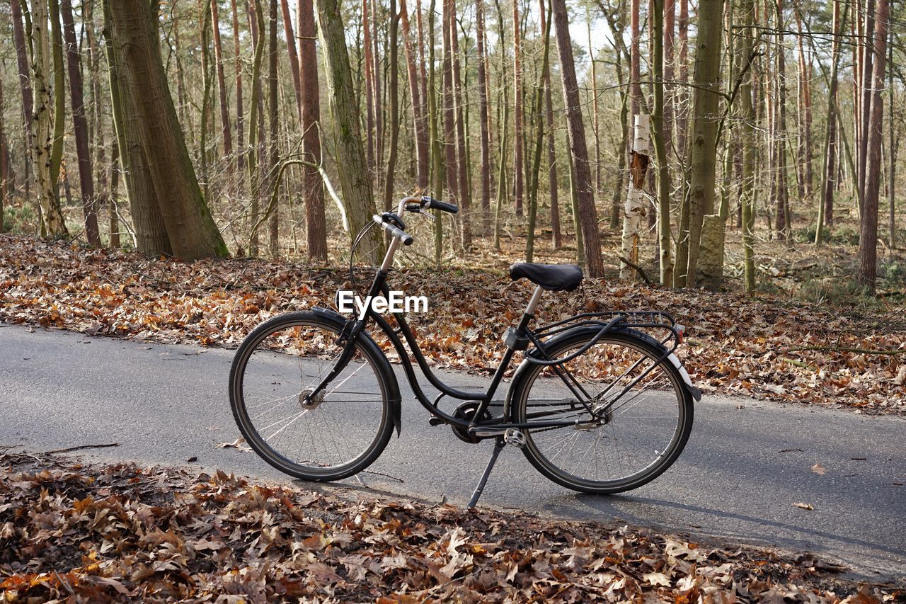 Bicycle parked on road against trees