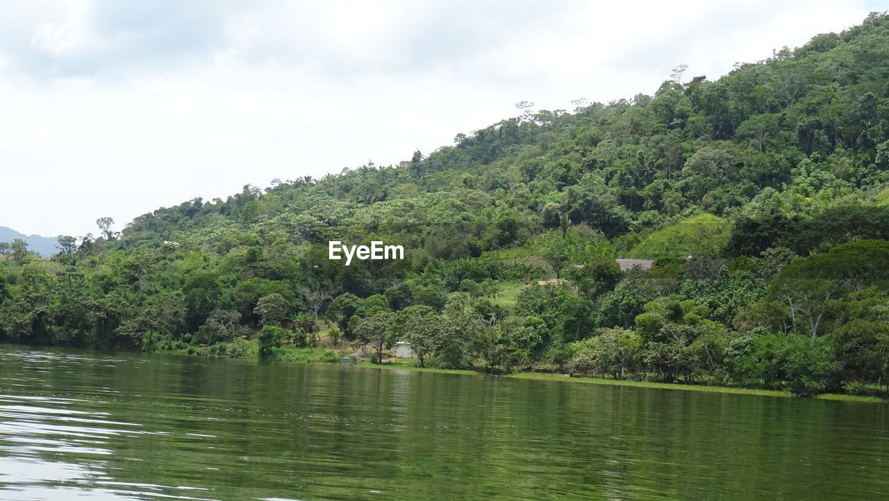 SCENIC VIEW OF LANDSCAPE WITH RIVER AND TREES