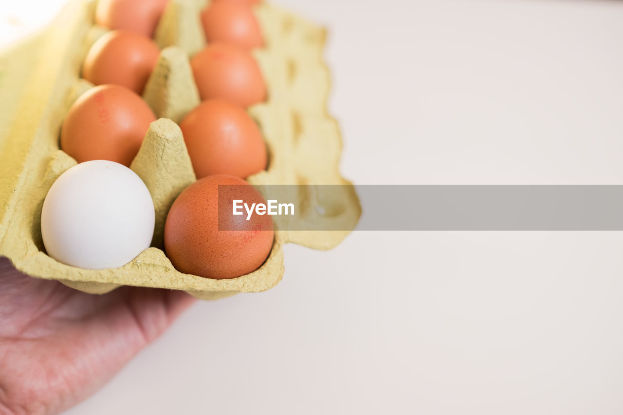 Cropped hand holding eggs in carton against beige background