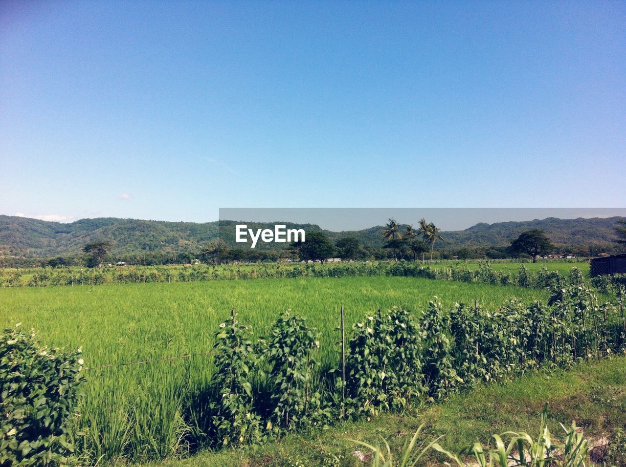 Scenic view of field against cloudy sky