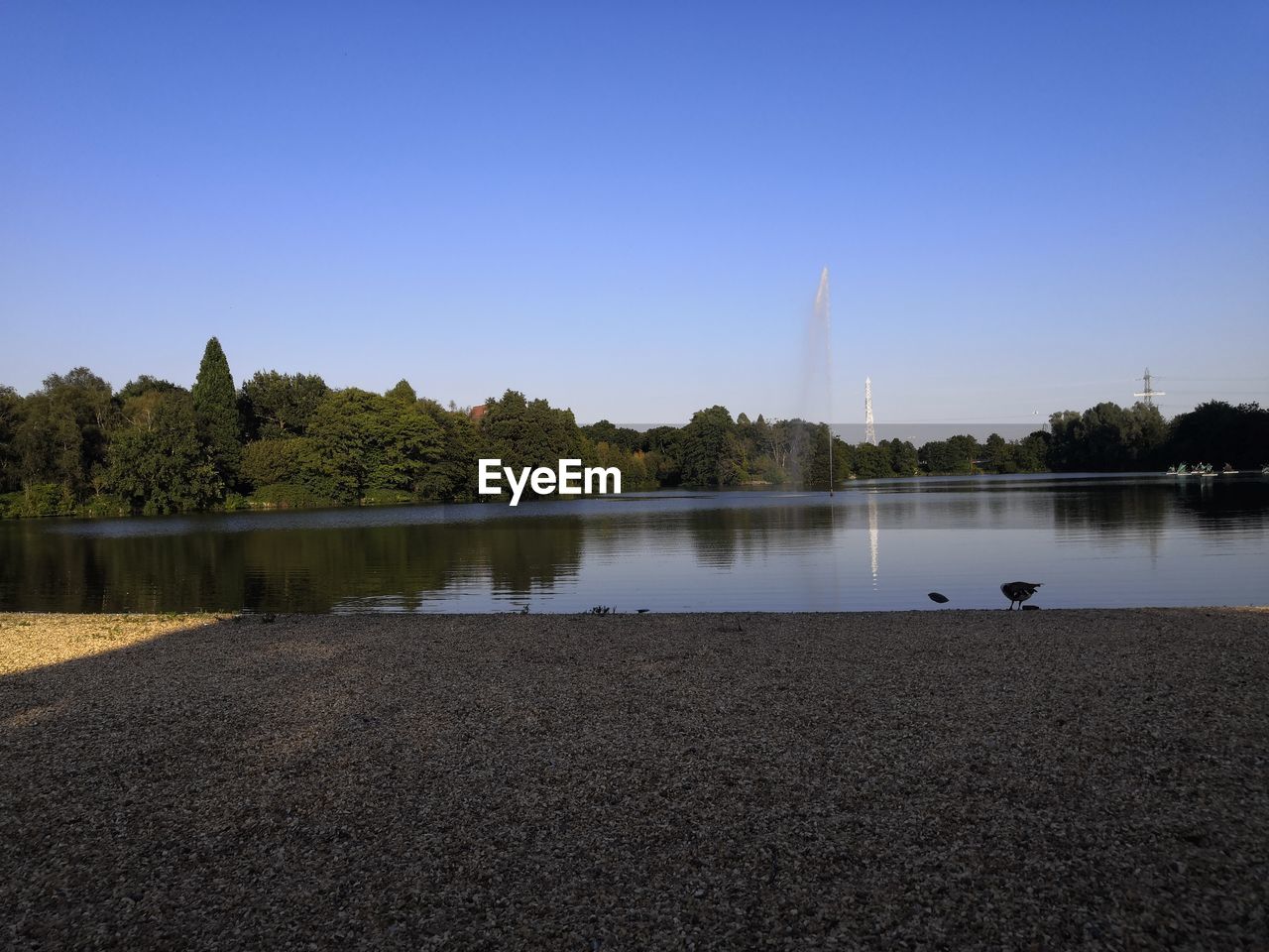 VIEW OF LAKE WITH TREES IN BACKGROUND