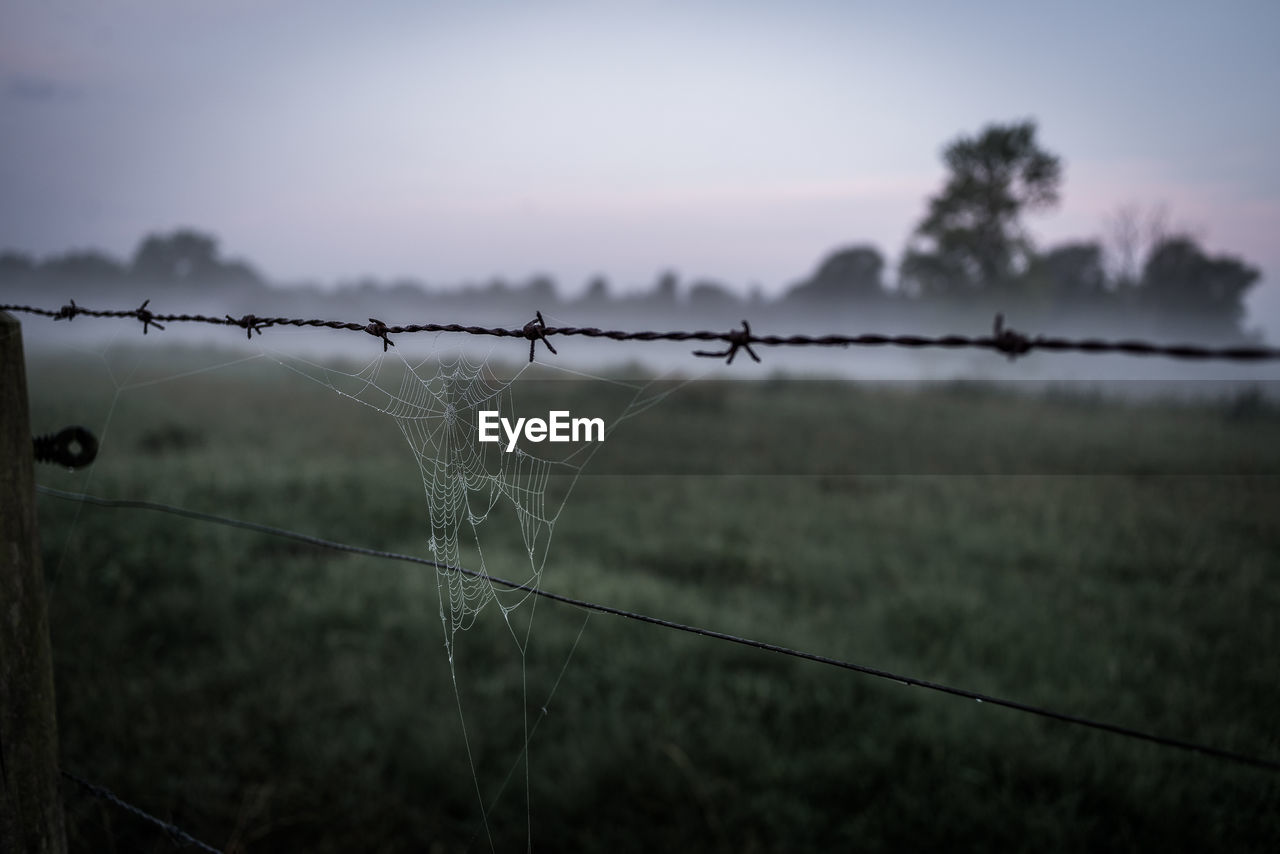 Close-up of spider web barbed wire fence on field against sky