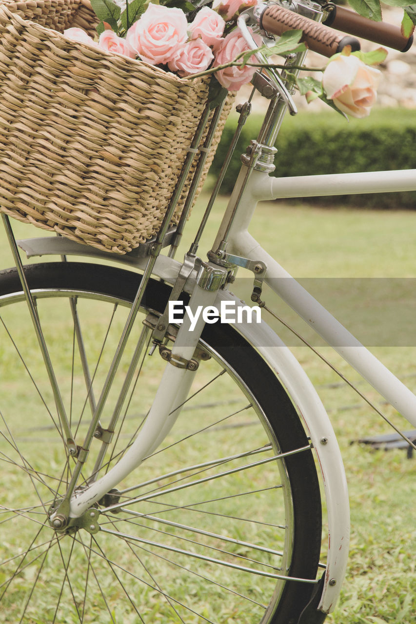 CLOSE-UP OF BICYCLE IN BASKET ON GRASS