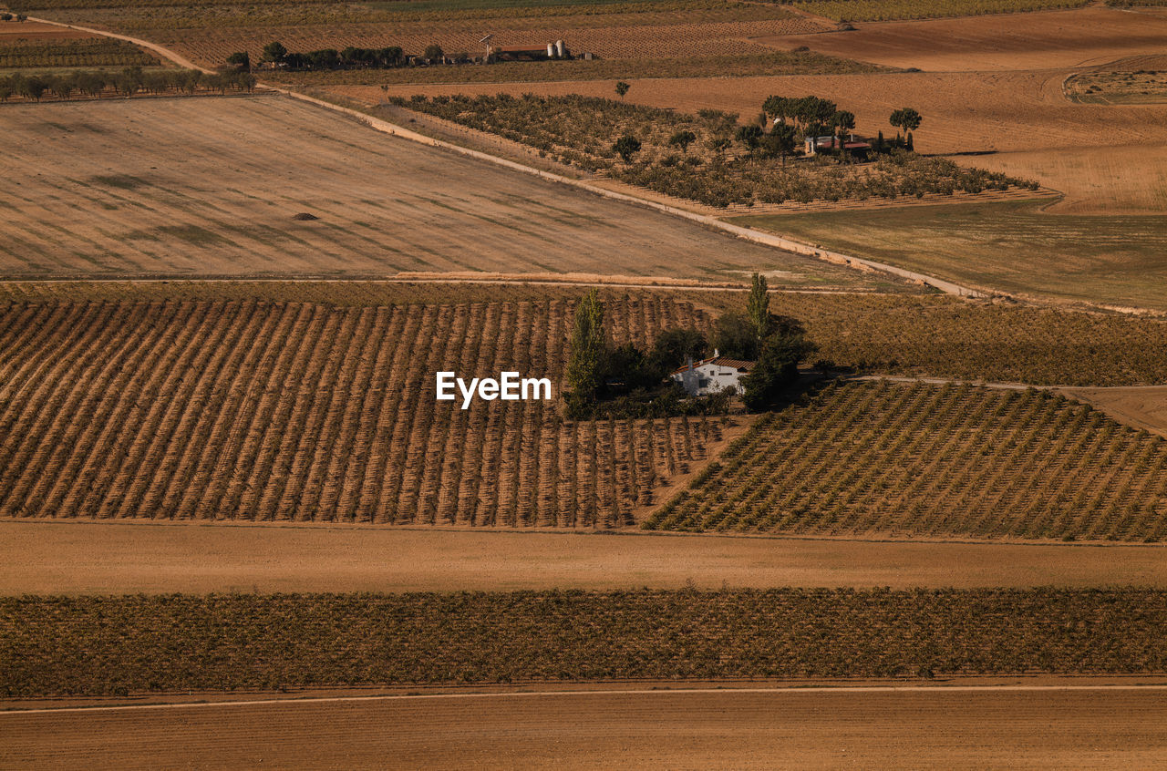 Aerial view of a country houses in agricultural field in castilla la mancha, spain