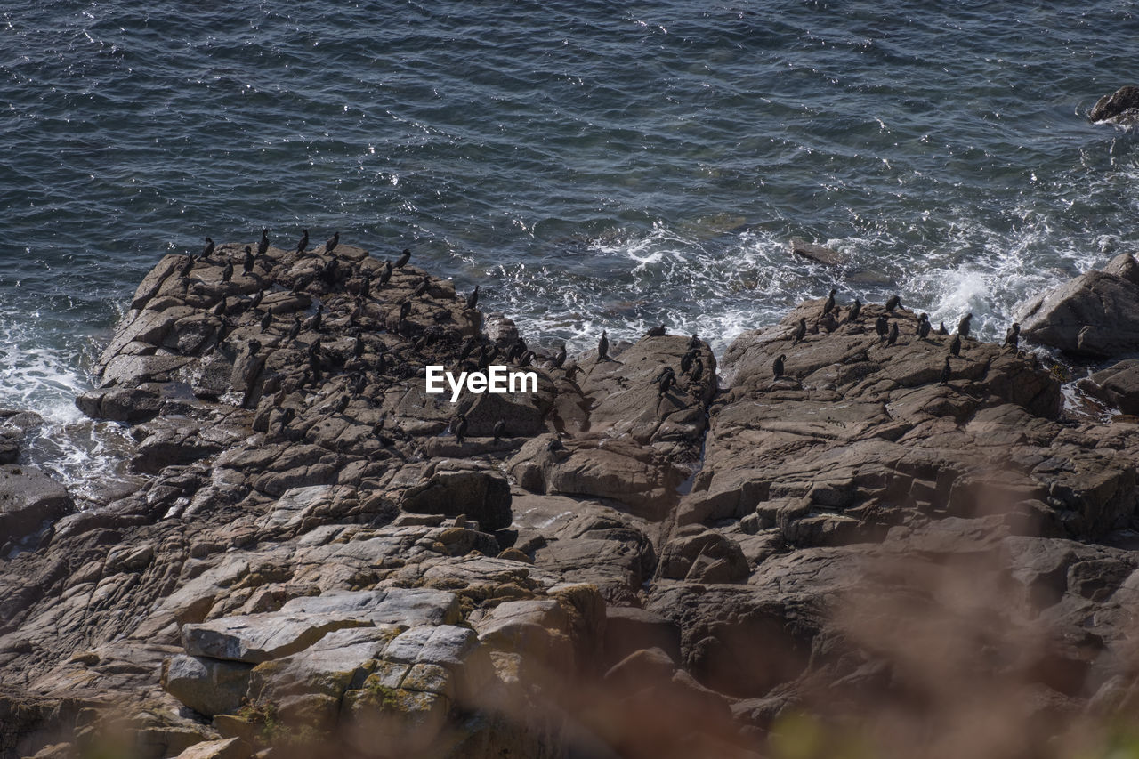 water, rock, sea, coast, shore, wave, ocean, land, beach, beauty in nature, nature, motion, cliff, no people, scenics - nature, terrain, day, outdoors, rock formation, tranquility, wind wave, non-urban scene, body of water, high angle view, tranquil scene, sports, coastline, splashing