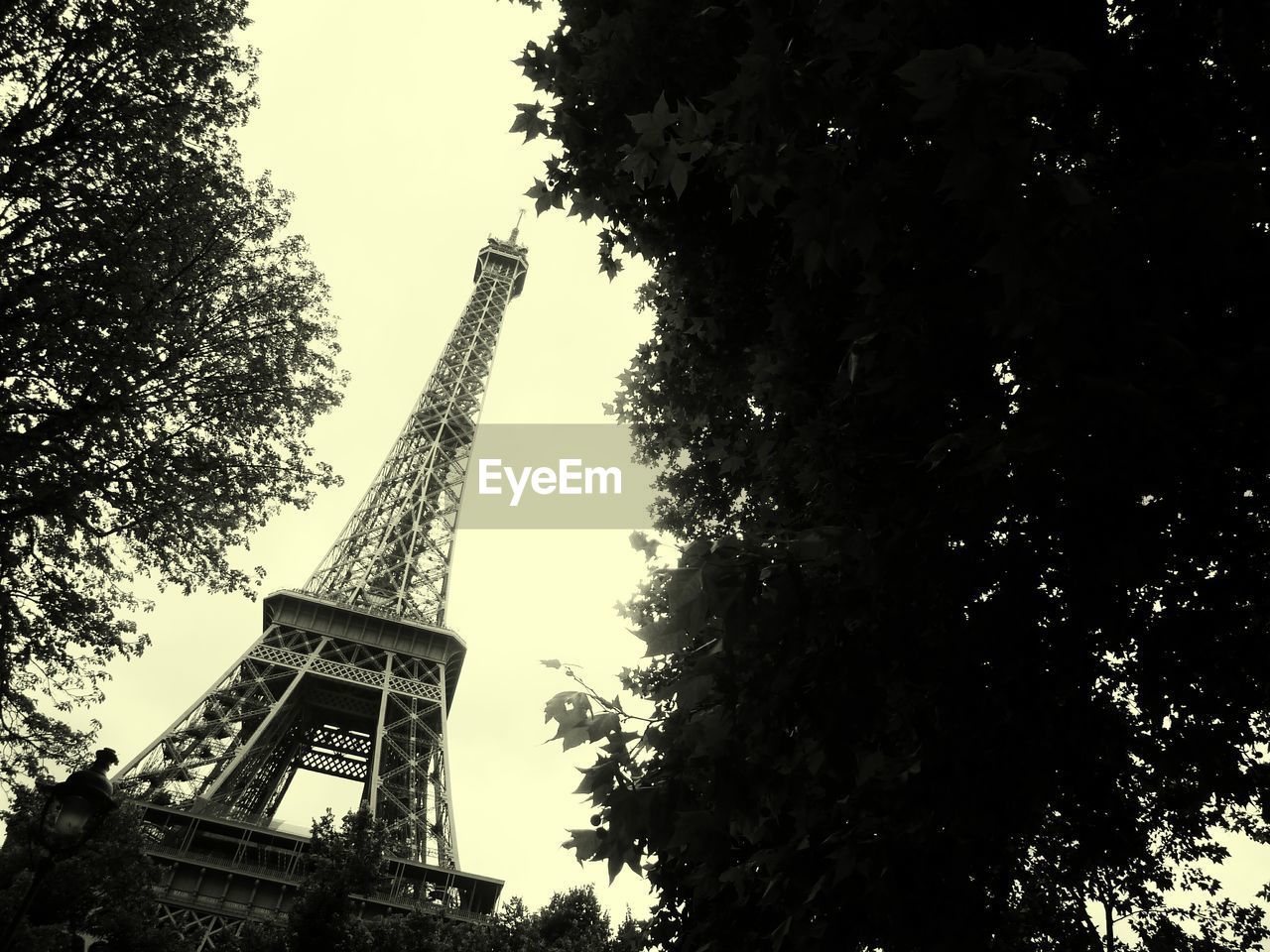 Low angle view of trees and eiffel tower against clear sky
