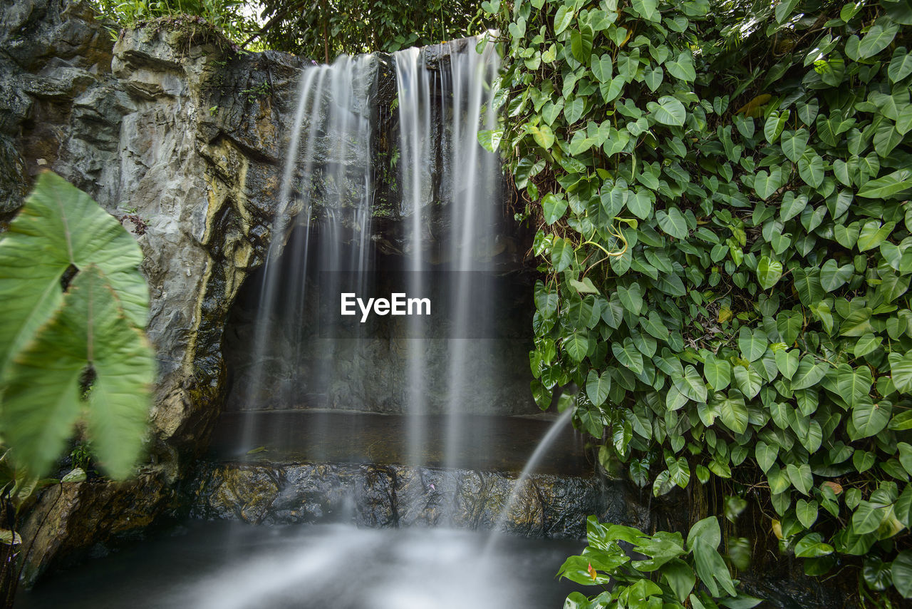 Scenic view of waterfall at singapore botanic gardens