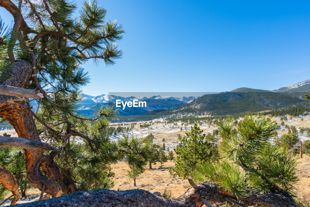 SCENIC VIEW OF LANDSCAPE AGAINST CLEAR BLUE SKY