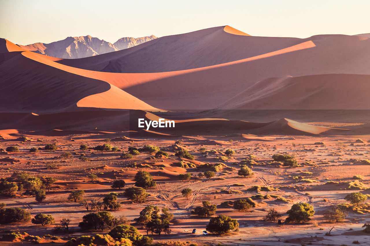 Scenic view of a desert