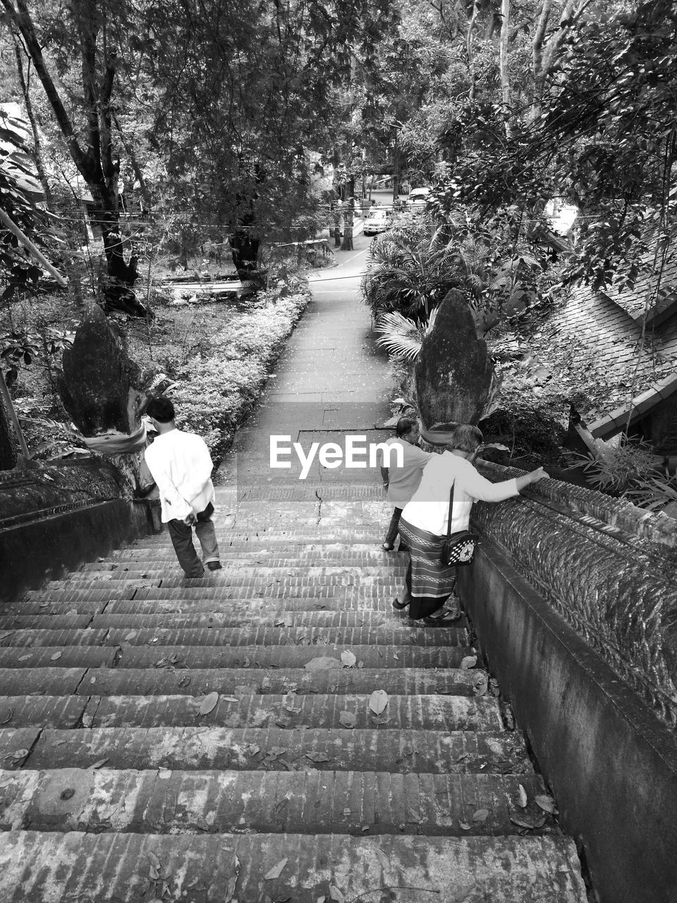 REAR VIEW OF TWO PEOPLE WALKING ON TREE