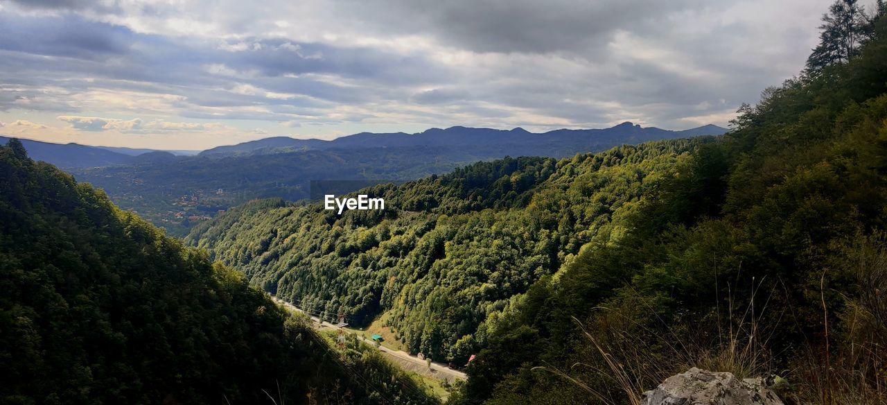 PANORAMIC SHOT OF TREES ON LANDSCAPE AGAINST SKY