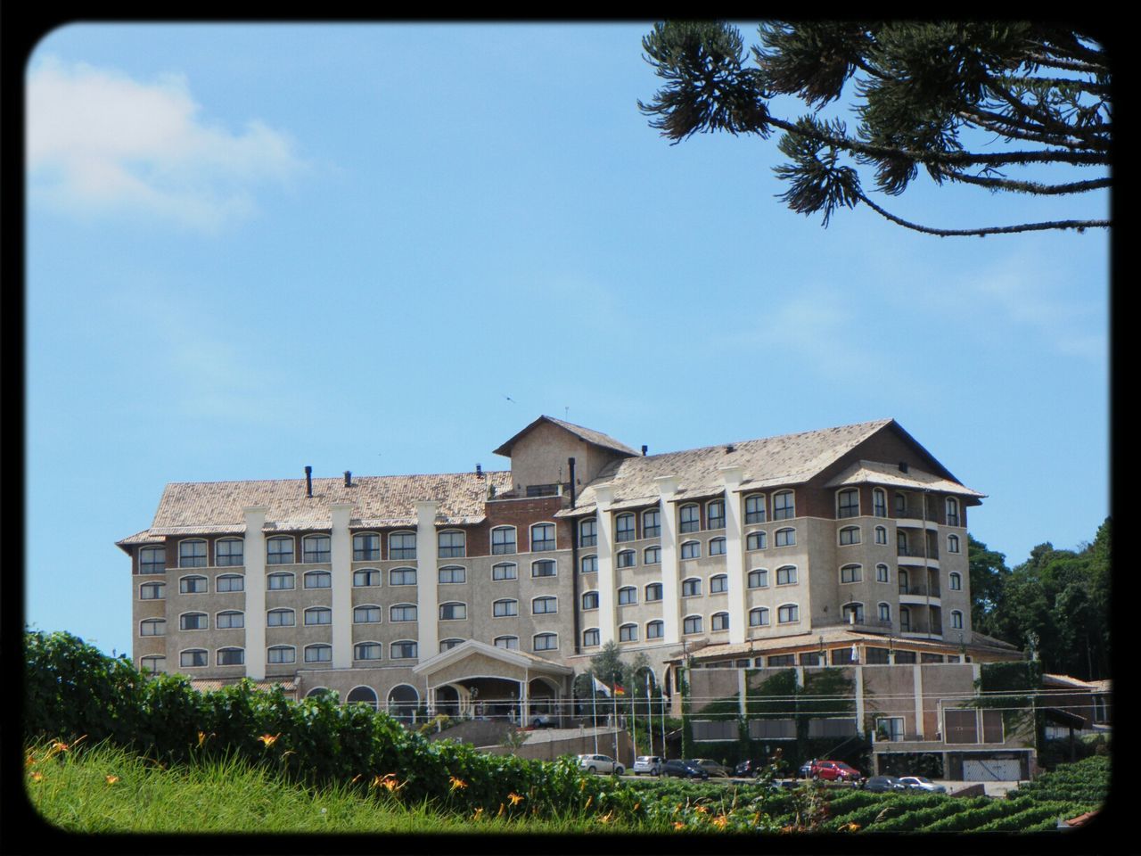 BUILDINGS WITH TREES IN BACKGROUND