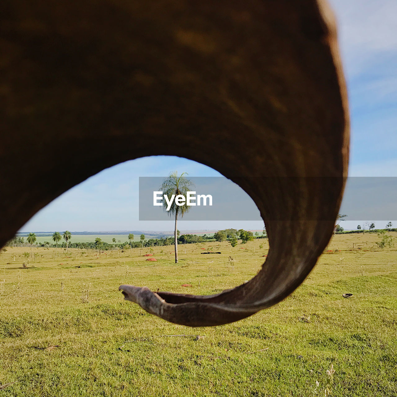 SCENIC VIEW OF FIELD SEEN THROUGH HOLE IN THE BACKGROUND
