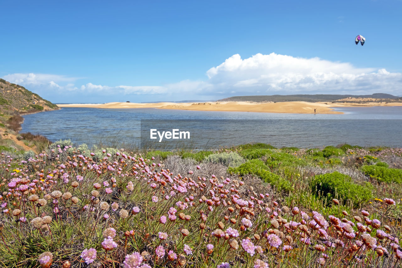 SCENIC VIEW OF SEA AGAINST SKY AT BEACH