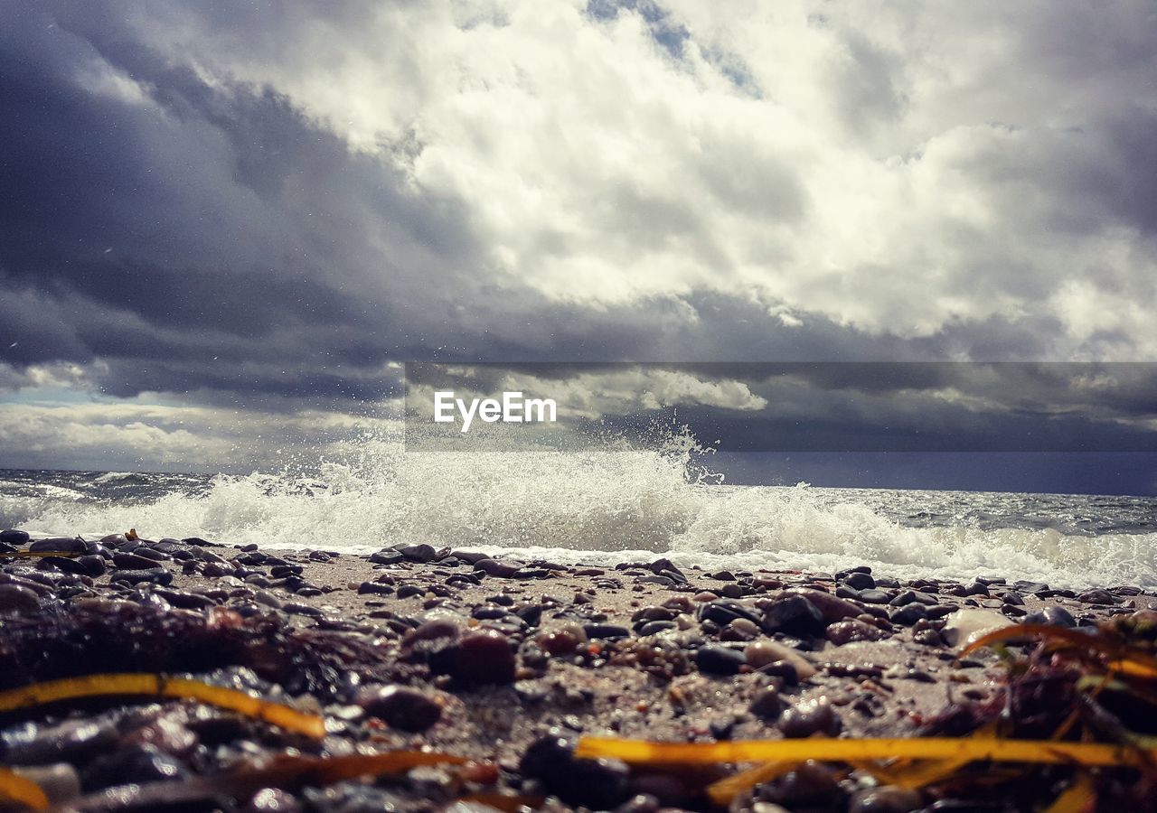 CLOSE-UP OF SEA SHORE AGAINST SKY