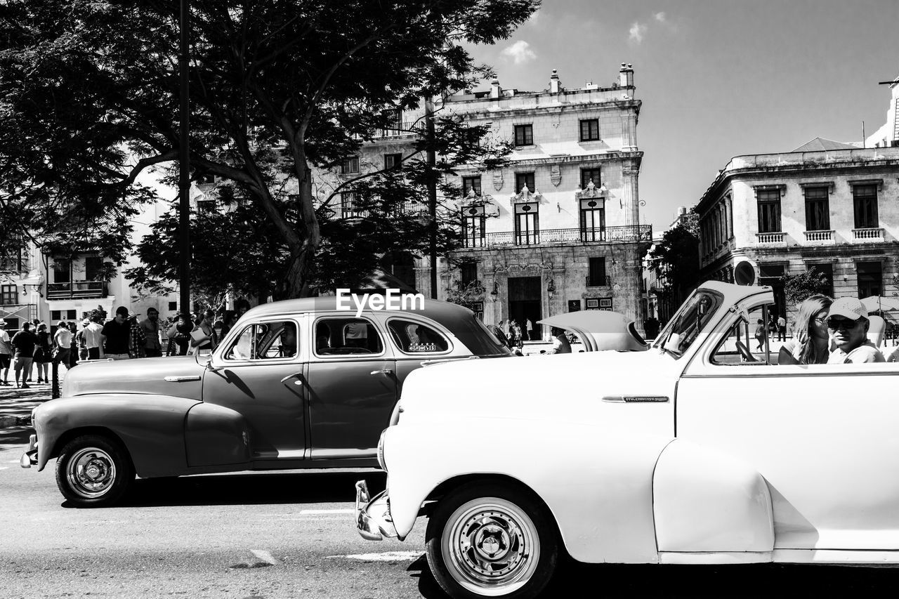 car, mode of transportation, transportation, motor vehicle, vehicle, land vehicle, automobile, architecture, city, black and white, street, building exterior, tree, vintage car, antique car, monochrome photography, built structure, retro styled, monochrome, plant, day, road, travel, nature, outdoors, city life, luxury vehicle, city street