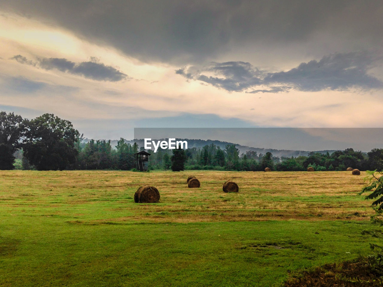 Hay bales on field against sky