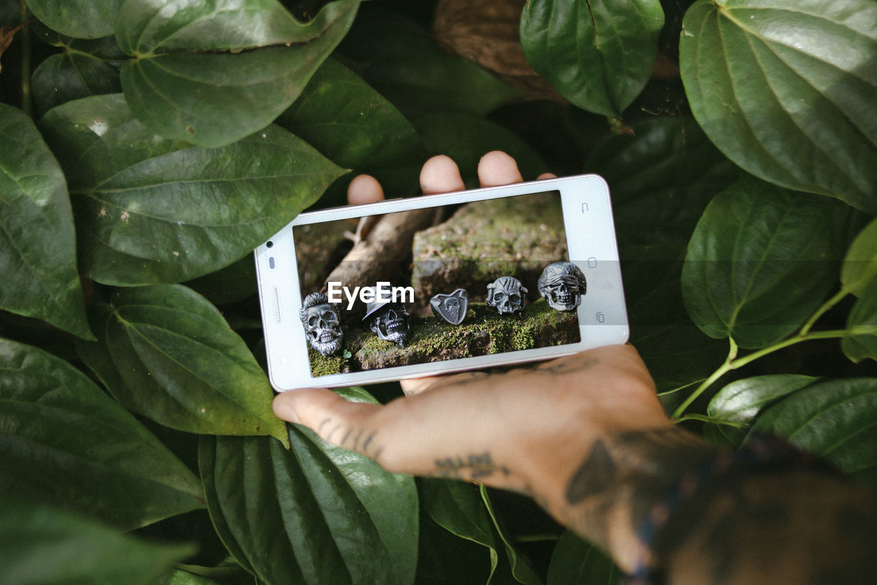 CLOSE-UP OF PERSON HOLDING PLANT