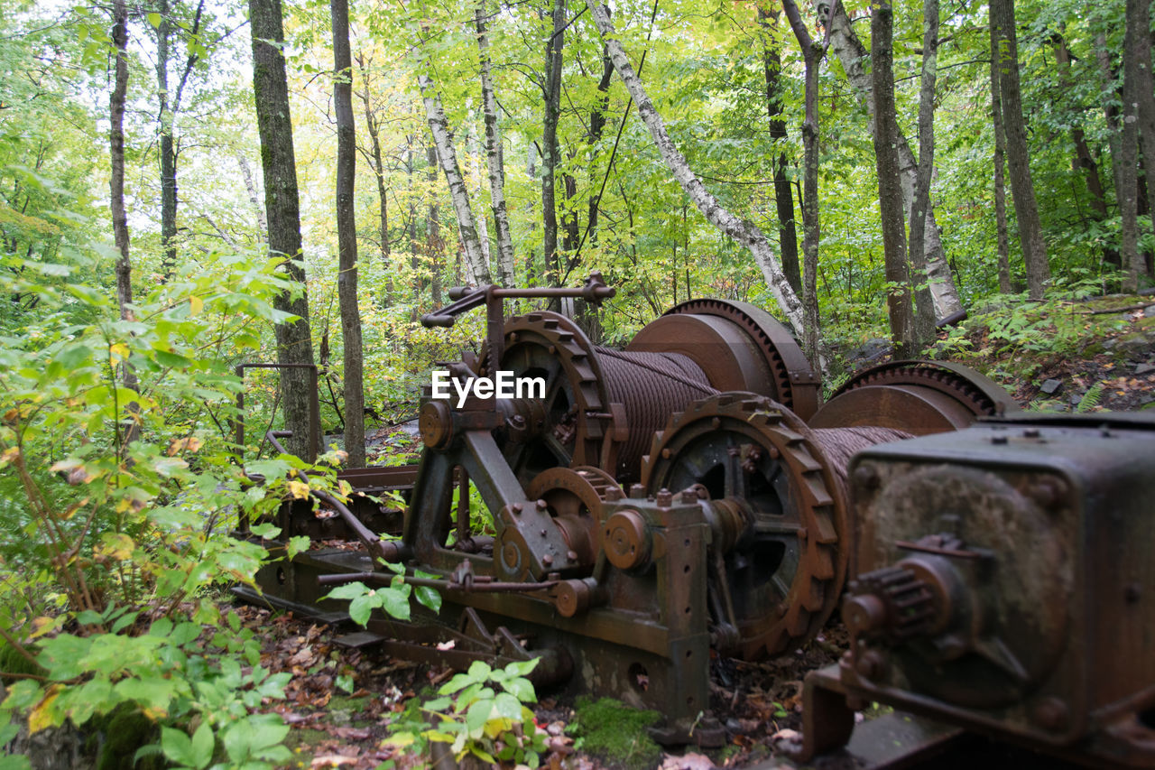 OLD RUSTY MOTORCYCLE IN FOREST