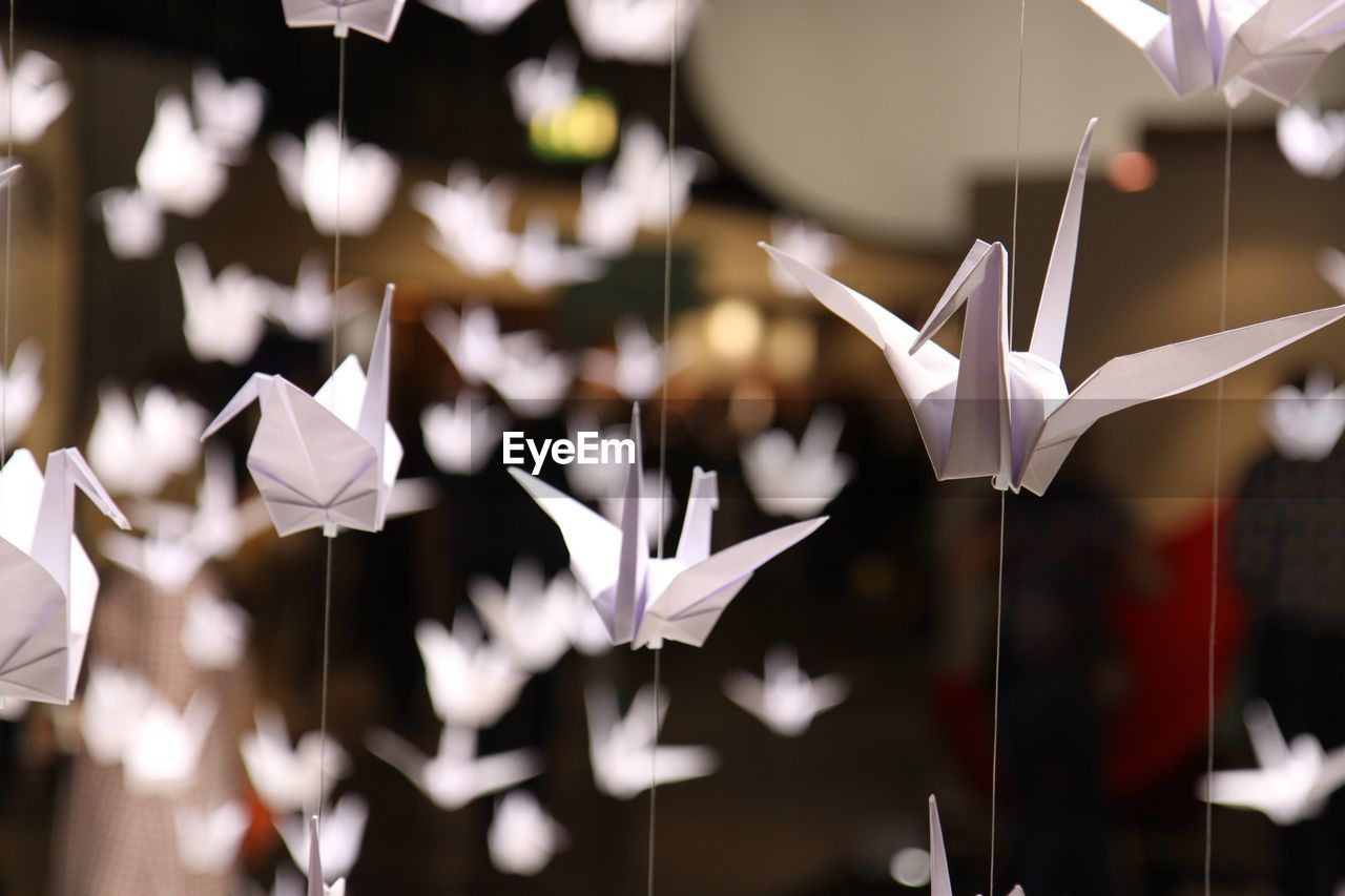 Close-up of paper cranes hanging on strings