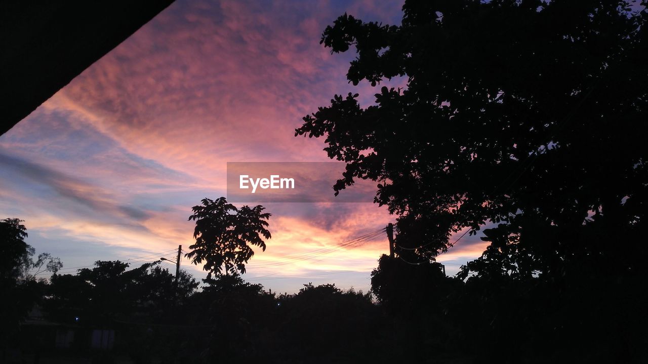 LOW ANGLE VIEW OF SILHOUETTE TREE AGAINST SKY