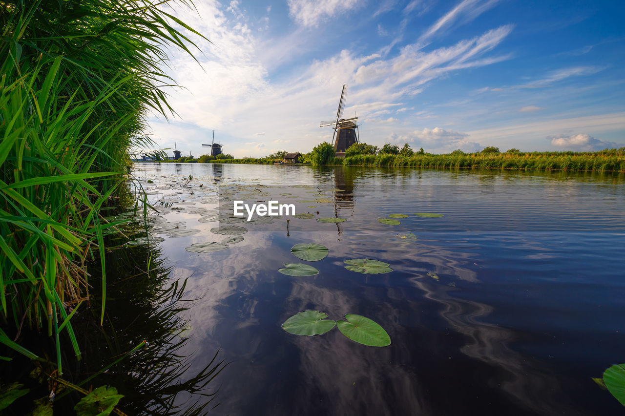 scenic view of lake in forest