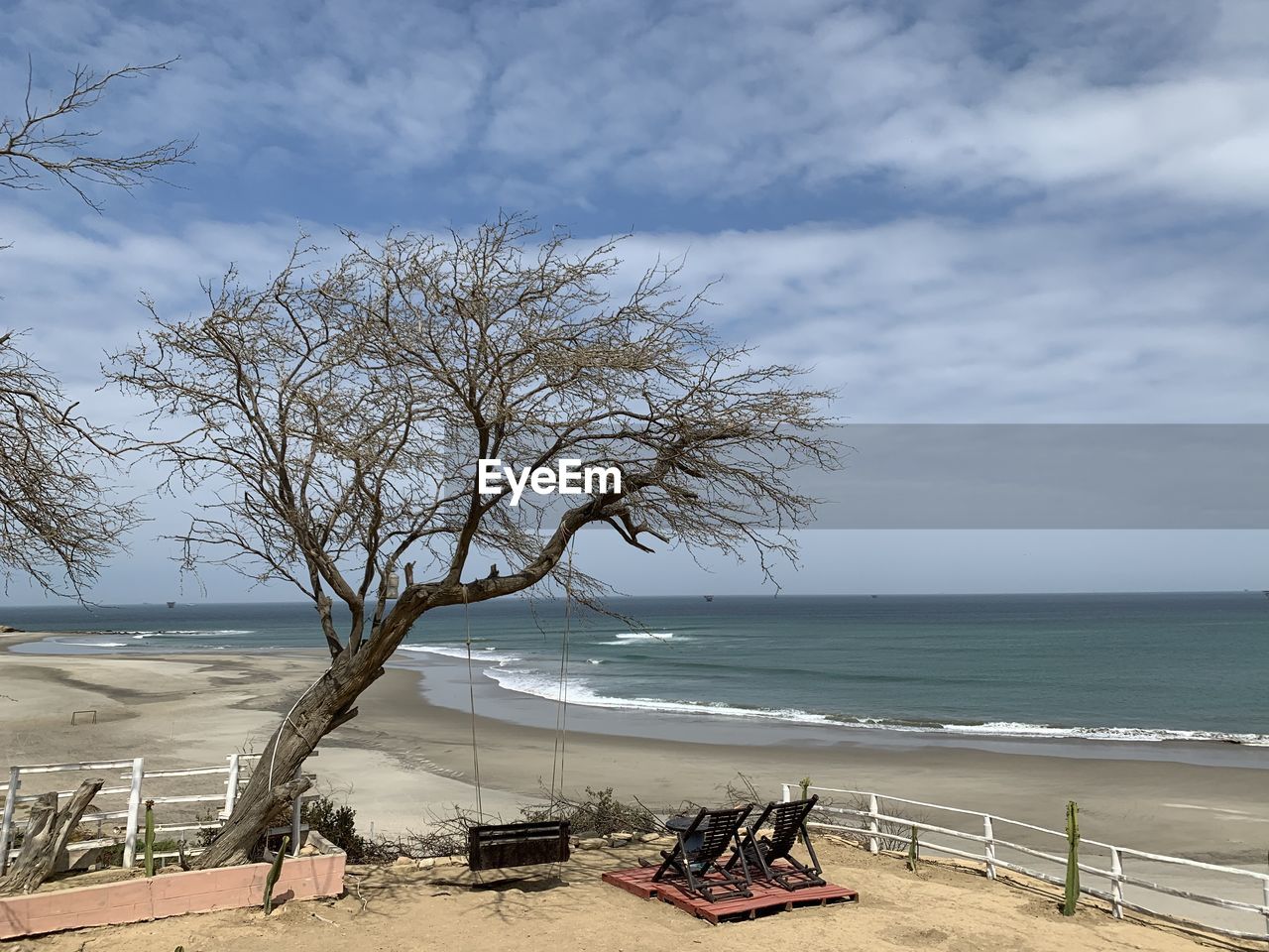 Bare tree on beach against sky in lobitos 