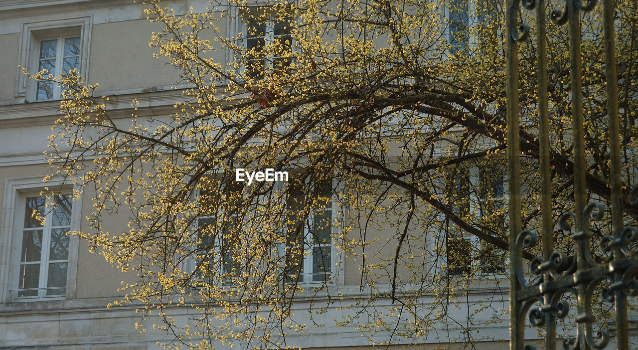 BUILT STRUCTURE WITH TREES IN FOREGROUND